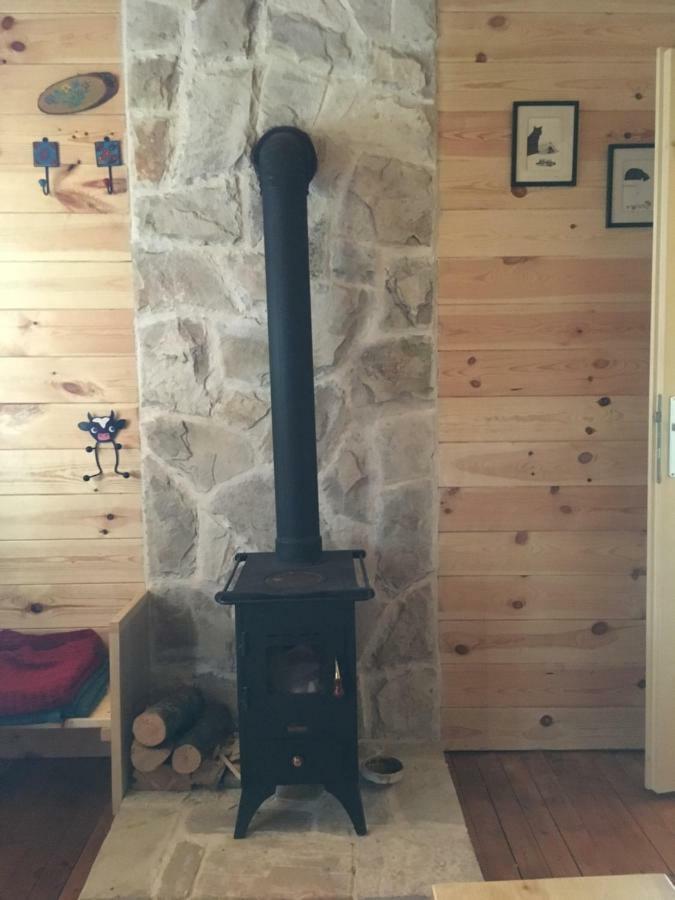 Cozy Cabin Zabljak  Exterior photo