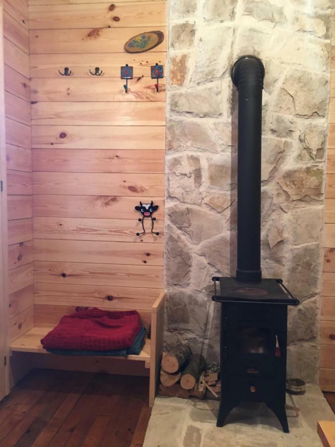 Cozy Cabin Zabljak  Exterior photo